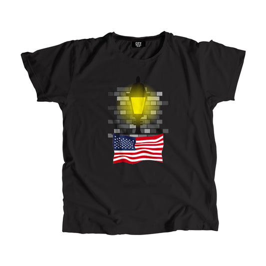 United States Street Lamp Bricks Unisex T-Shirt